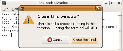 GNOME Terminal will prompt the user if a process is still running.